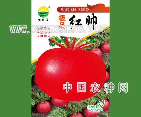 红帅